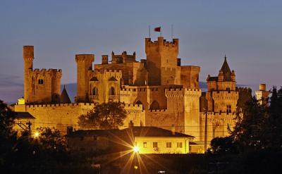 Olite Castle at night